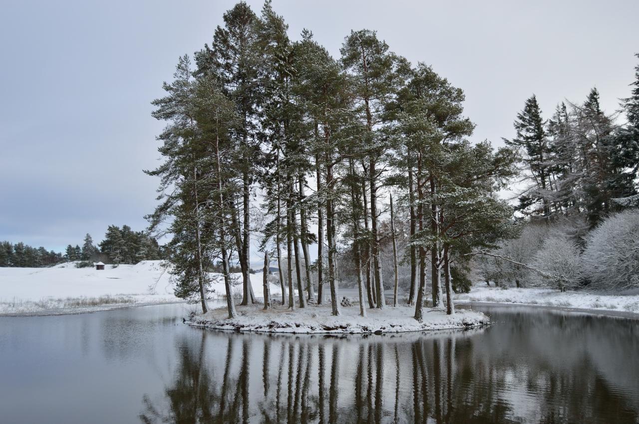 The Pines - Luxury 3-Bed Apartment Near Golf & Spa, Gleneagles, Охтерардер Экстерьер фото